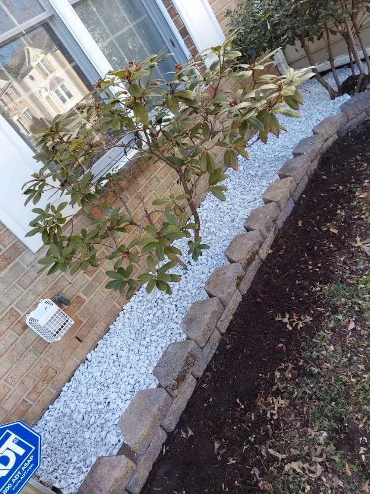 Reliable yard maintenance in Capitol Heights, MD by MAM Landscaping