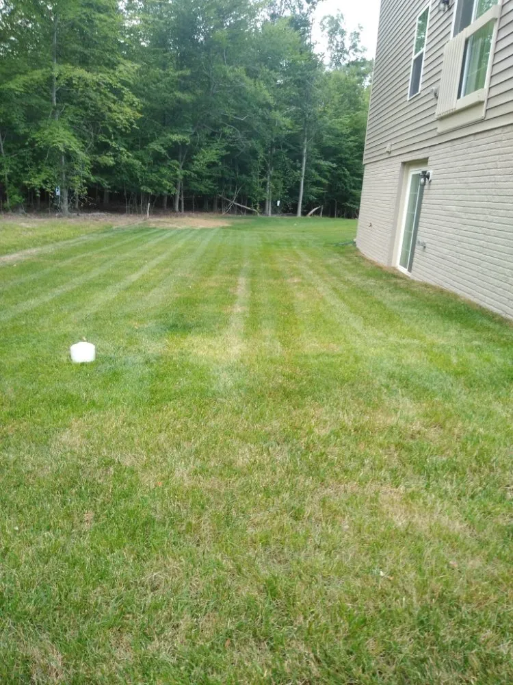 Affordable lawn mowing service for residential properties across Capitol Heights, MD - MAM Landscaping