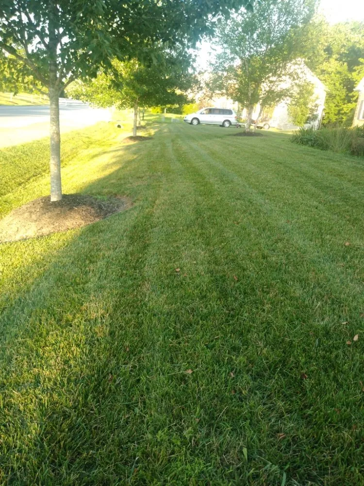 Trusted residential landscaping near you across Capitol Heights, MD - MAM Landscaping