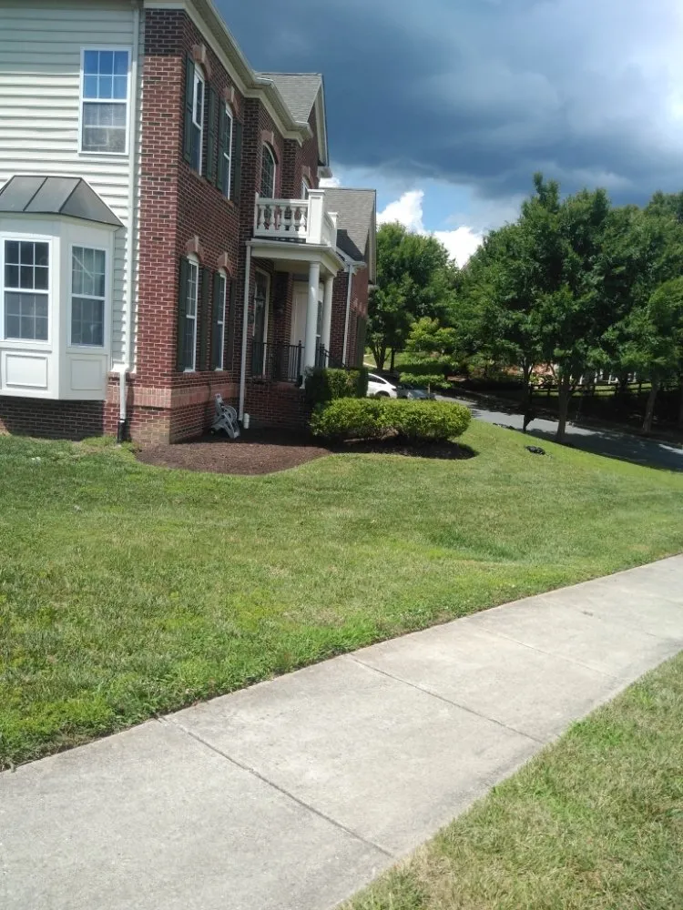Trusted yard maintenance in Capitol Heights, MD - MAM Landscaping