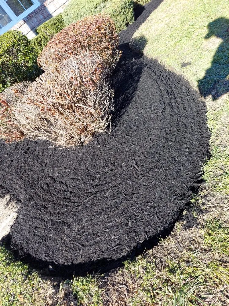 Local landscape installation experts serving Capitol Heights, MD - MAM Landscaping