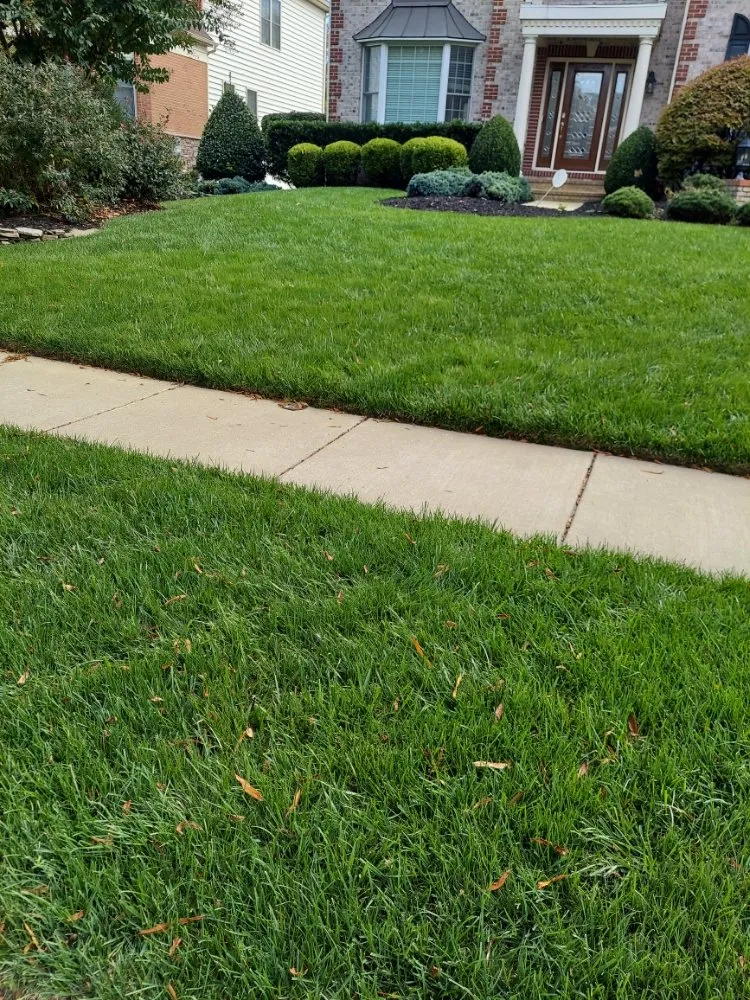 Top-rated residential landscaping with custom design across Capitol Heights, MD - MAM Landscaping