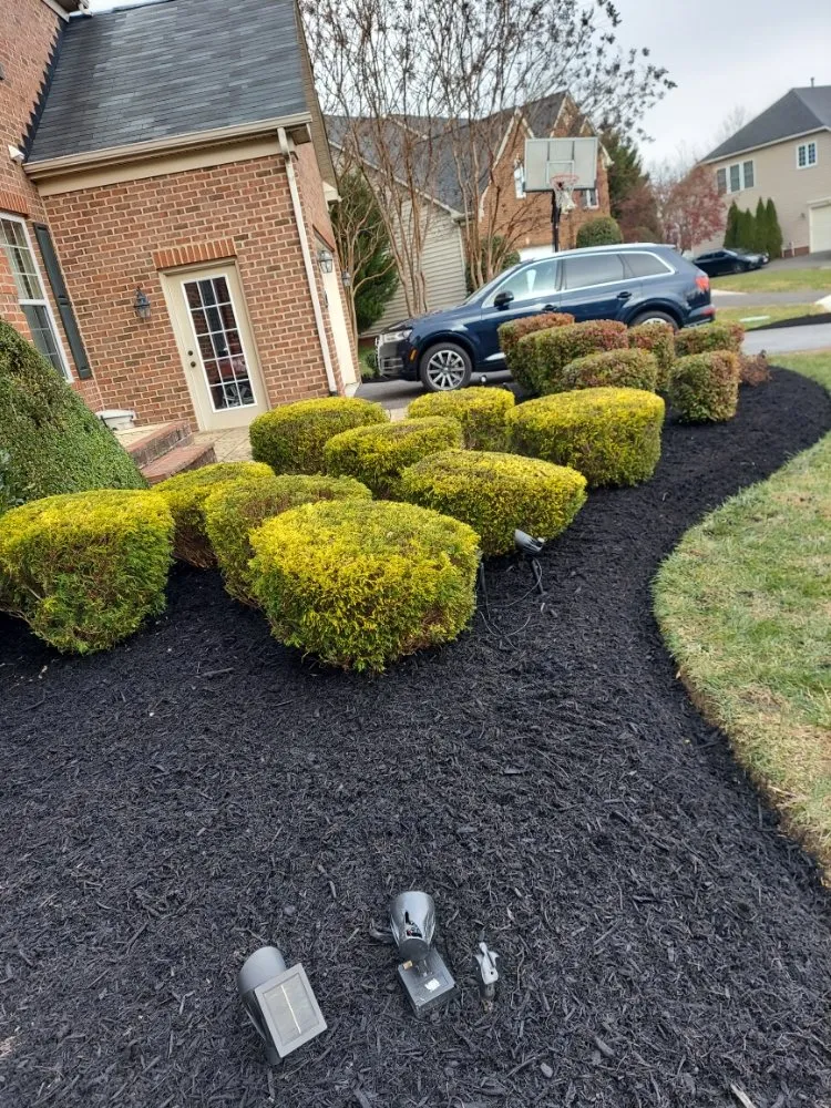 Reliable yard cleanup service near you across Capitol Heights, MD - MAM Landscaping