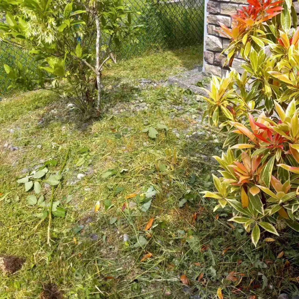 Professional landscaping services for year-round maintenance in Edgewood, WA by Mama Maintenance