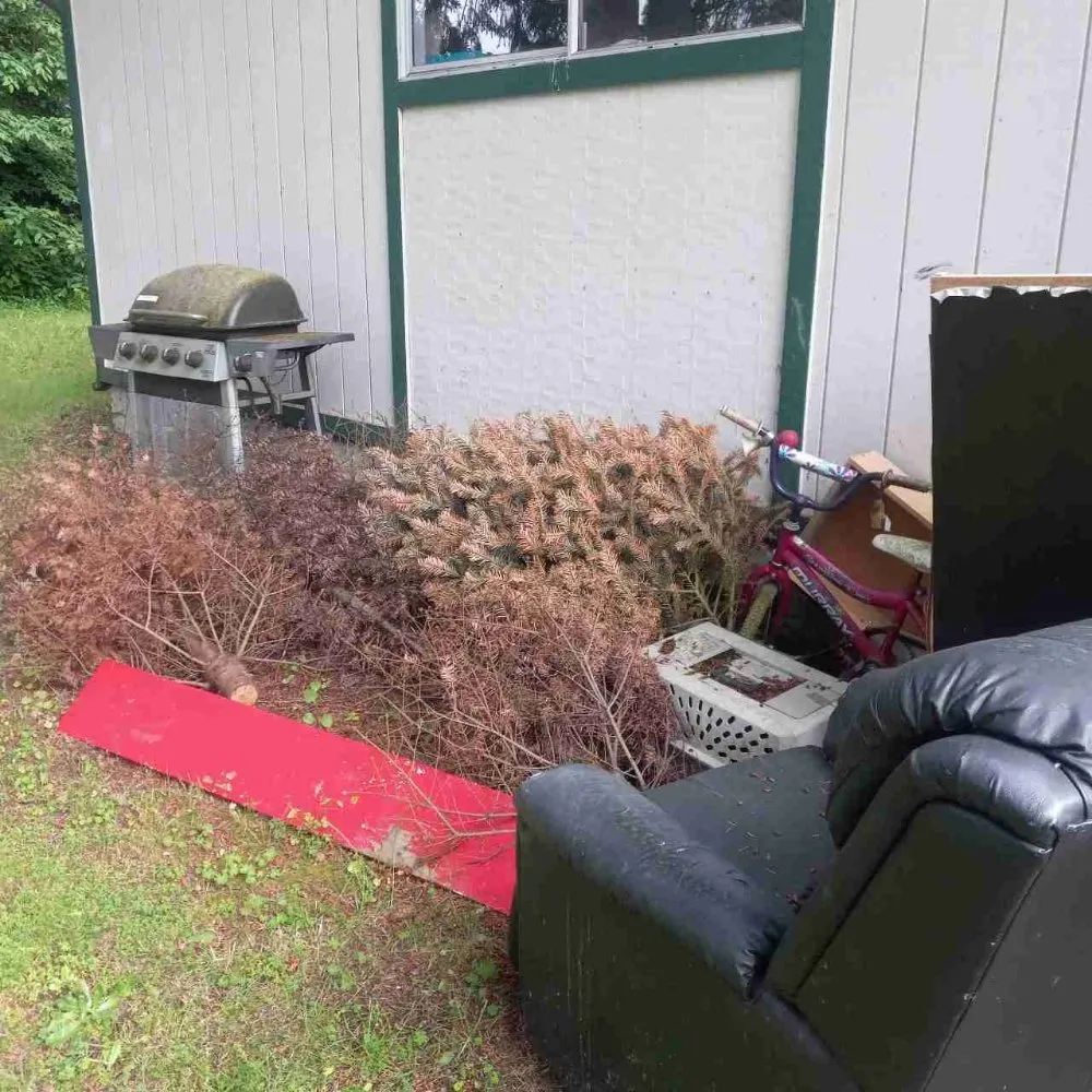 Expert lawn care service experts serving Edgewood, WA - Mama Maintenance