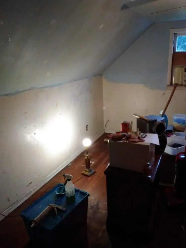 Top-rated yard maintenance in Everett, WA - Mama's All-In-1-Cleaning And More