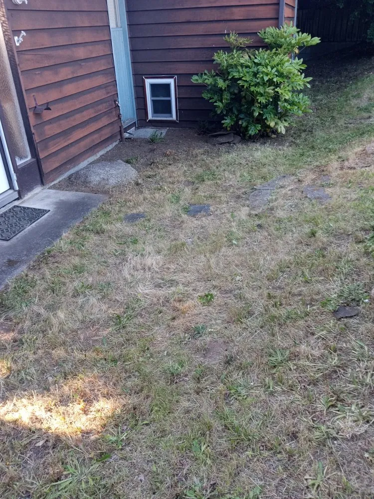 Expert residential landscaping experts serving Everett, WA - Mama's All-In-1-Cleaning And More