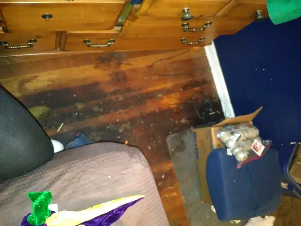 Custom landscaping services for residential properties in Everett, WA by Mama's All-In-1-Cleaning And More