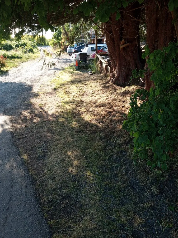 Reliable outdoor landscaping experts serving Everett, WA - Mama's All-In-1-Cleaning And More