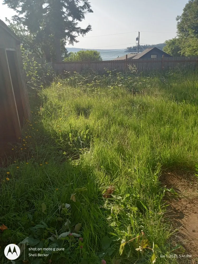 Reliable lawn care service experts serving Everett, WA - Mama's All-In-1-Cleaning And More