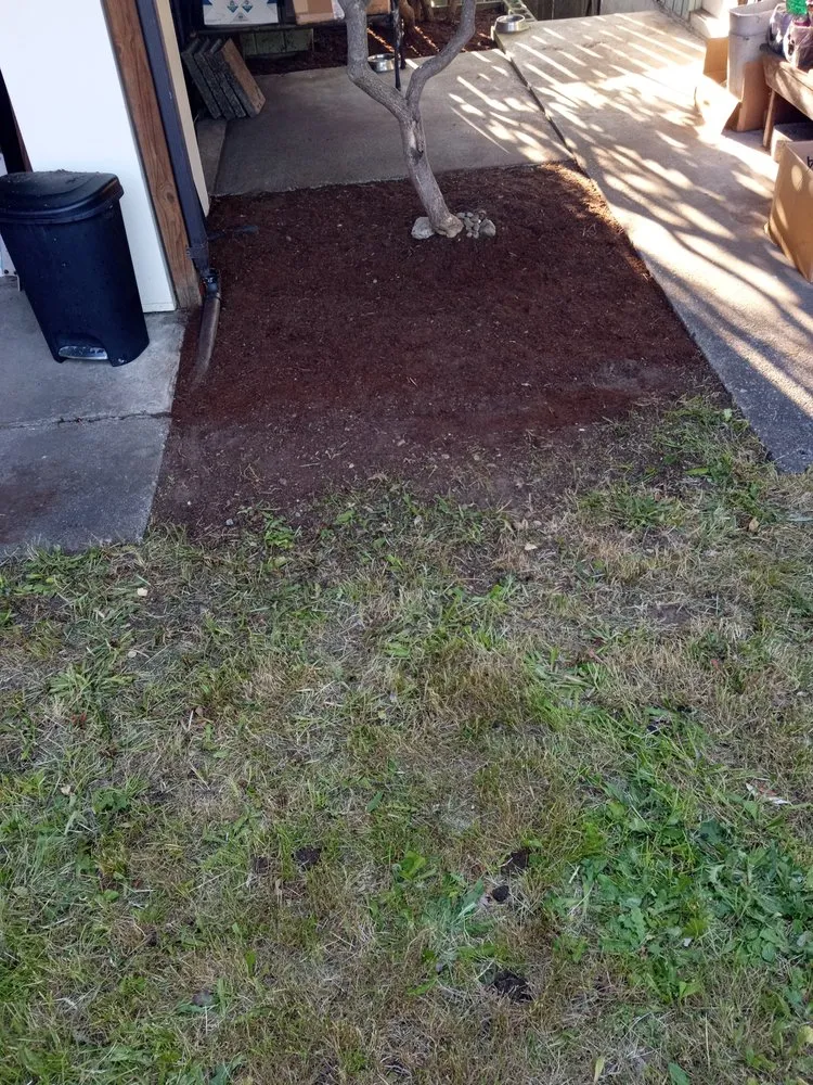 Expert landscaping services in Everett, WA - Mama's All-In-1-Cleaning And More