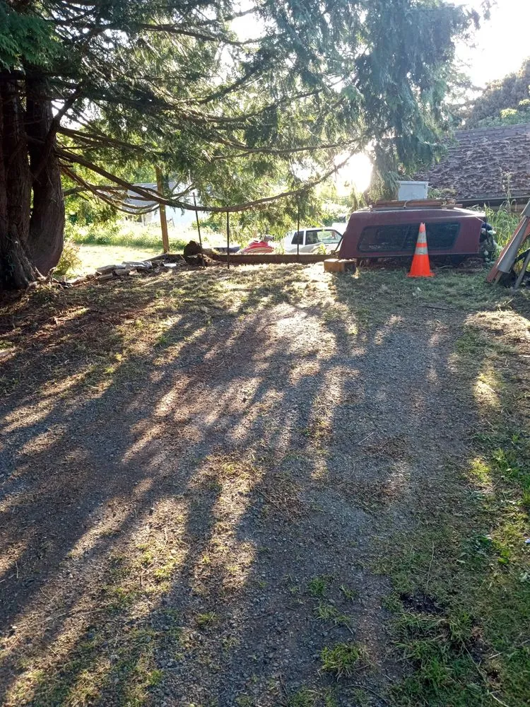 Expert yard cleanup service for residential properties across Everett, WA - Mama's All-In-1-Cleaning And More