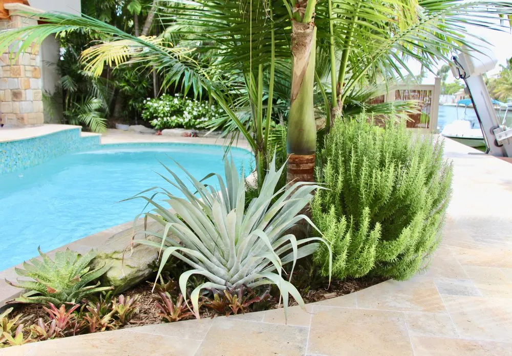 Reliable lawn mowing service experts serving Key West, FL - Mama's Garden Center