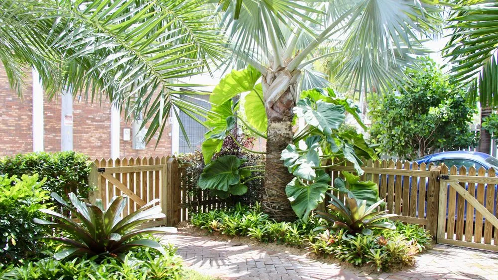 Reliable garden landscaping for beautiful yards in Key West, FL by Mama's Garden Center