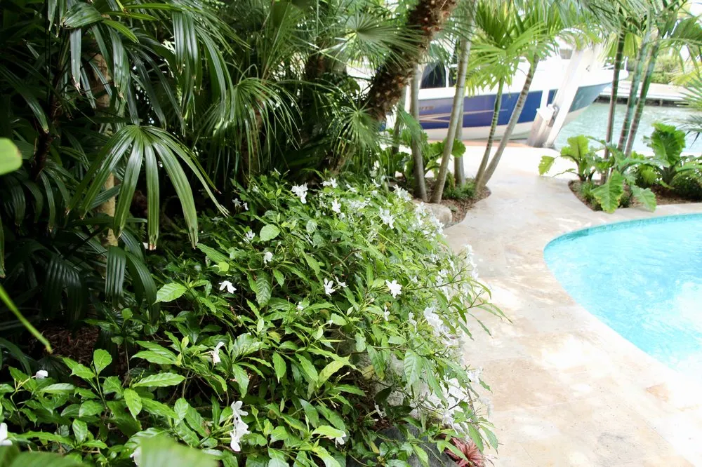 Professional yard cleanup service experts serving Key West, FL - Mama's Garden Center