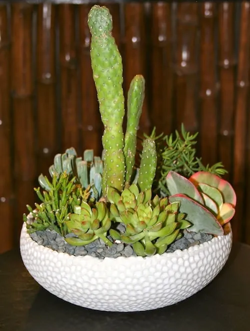 Top-rated lawn mowing service in Key West, FL - Mama's Garden Center