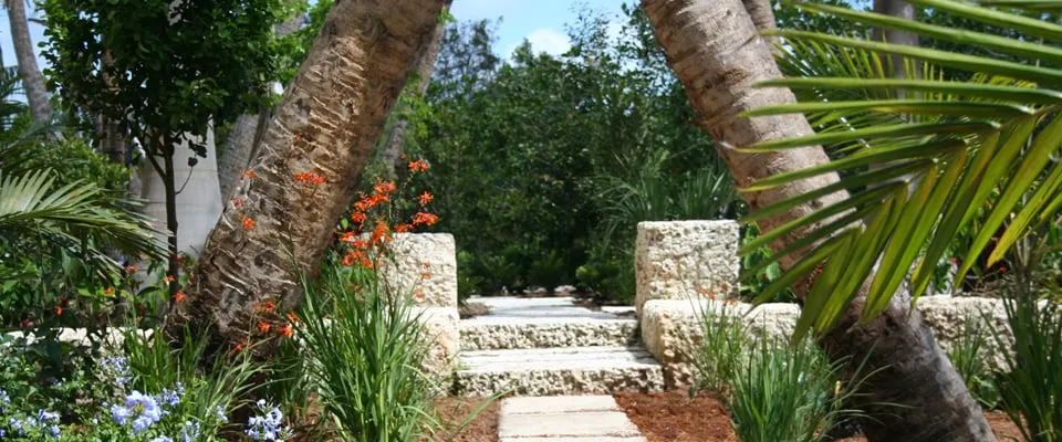 Reliable yard maintenance in Key West, FL - Mama's Garden Center