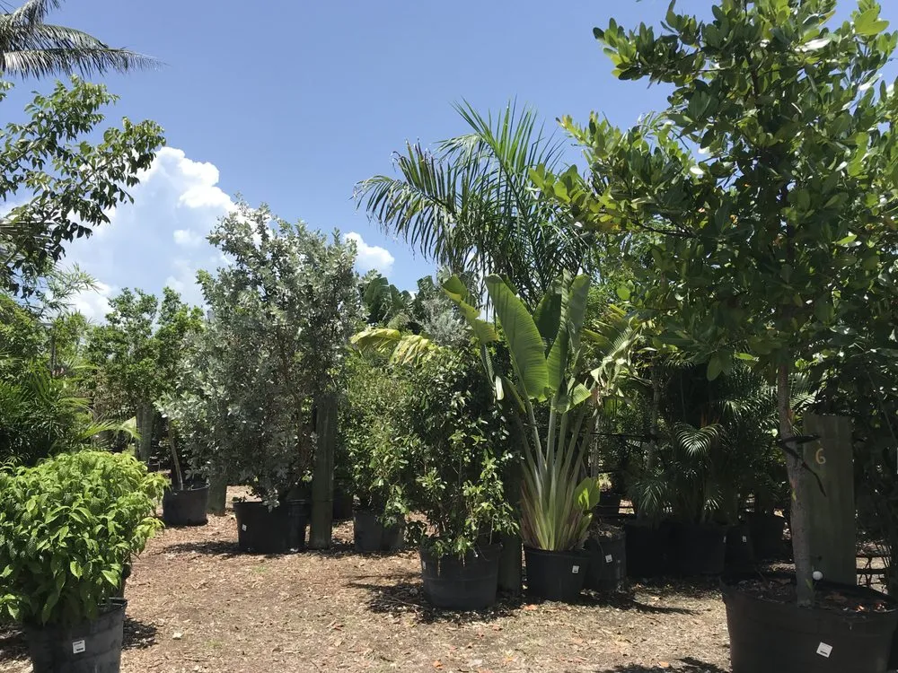 Professional lawn mowing service in Key West, FL - Mama's Garden Center