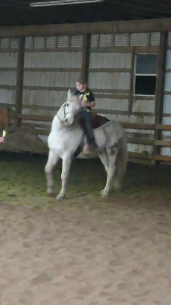 Custom yard cleanup service experts serving Canton, OH - Mamasboyz All Around Handyman Services and Lawn Care