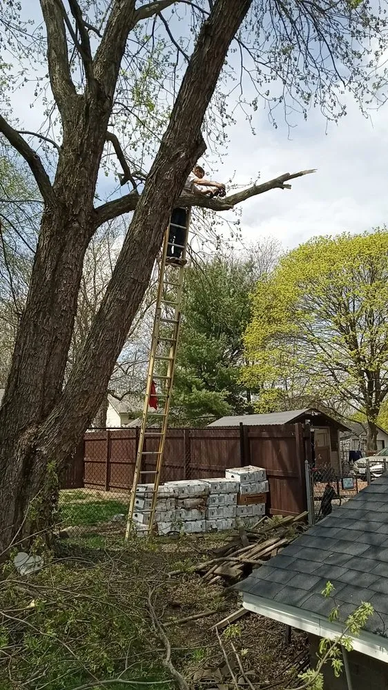 Reliable residential landscaping in Canton, OH by Mamasboyz All Around Handyman Services and Lawn Care