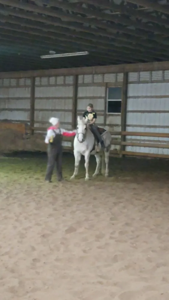 Trusted lawn care service for residential properties across Canton, OH - Mamasboyz All Around Handyman Services and Lawn Care