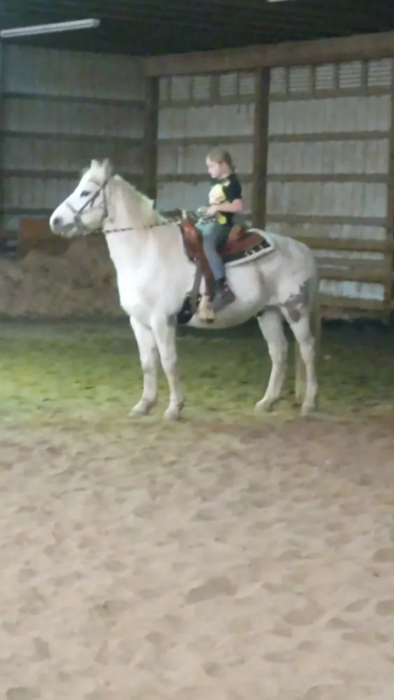 Trusted landscape installation for residential properties in Canton, OH by Mamasboyz All Around Handyman Services and Lawn Care