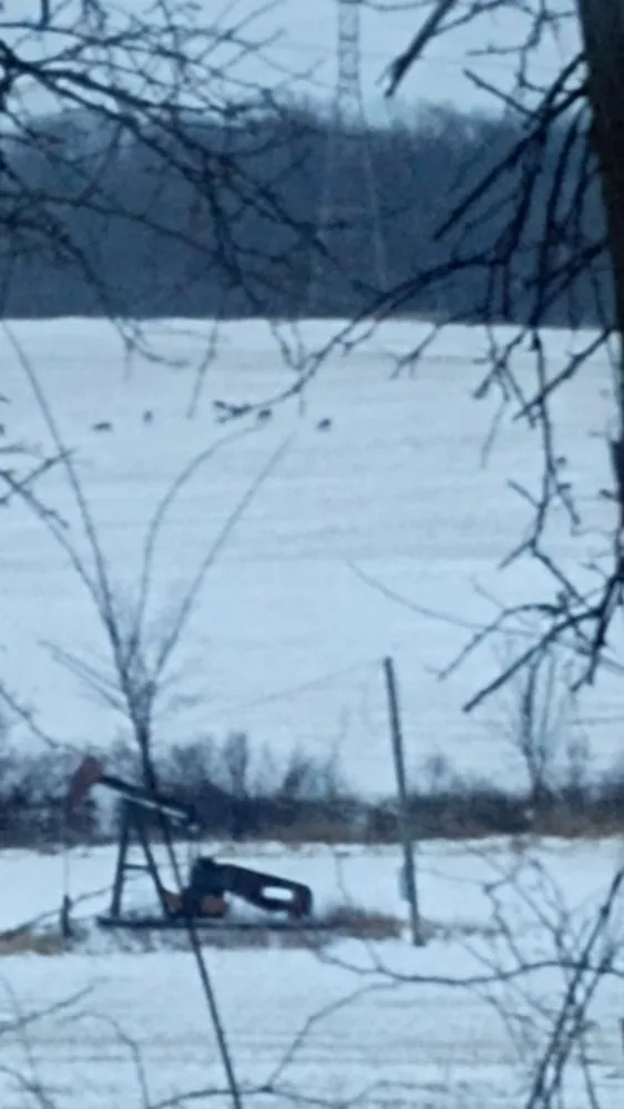 Local residential landscaping near you across Canton, OH - Mamasboyz All Around Handyman Services and Lawn Care