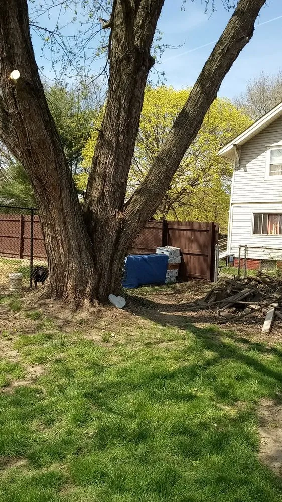 Local lawn mowing service for residential properties in Canton, OH by Mamasboyz All Around Handyman Services and Lawn Care