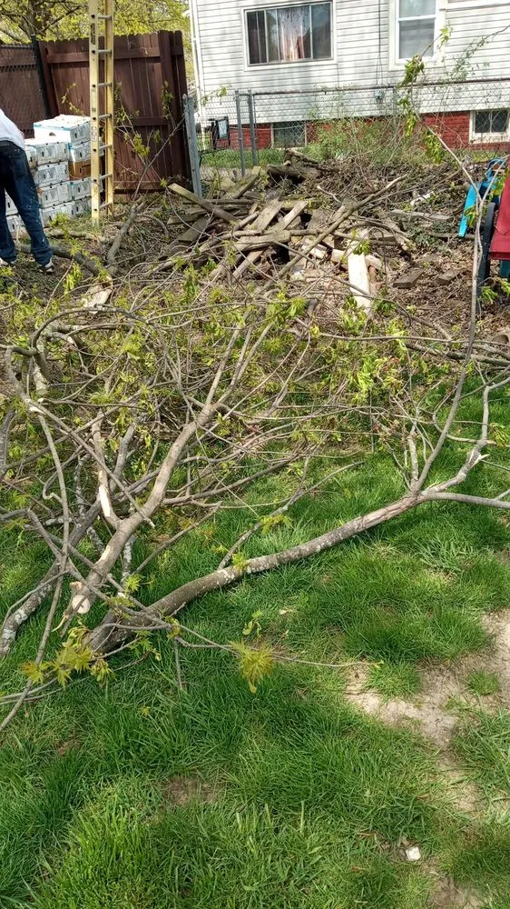 Expert yard maintenance in Canton, OH by Mamasboyz All Around Handyman Services and Lawn Care