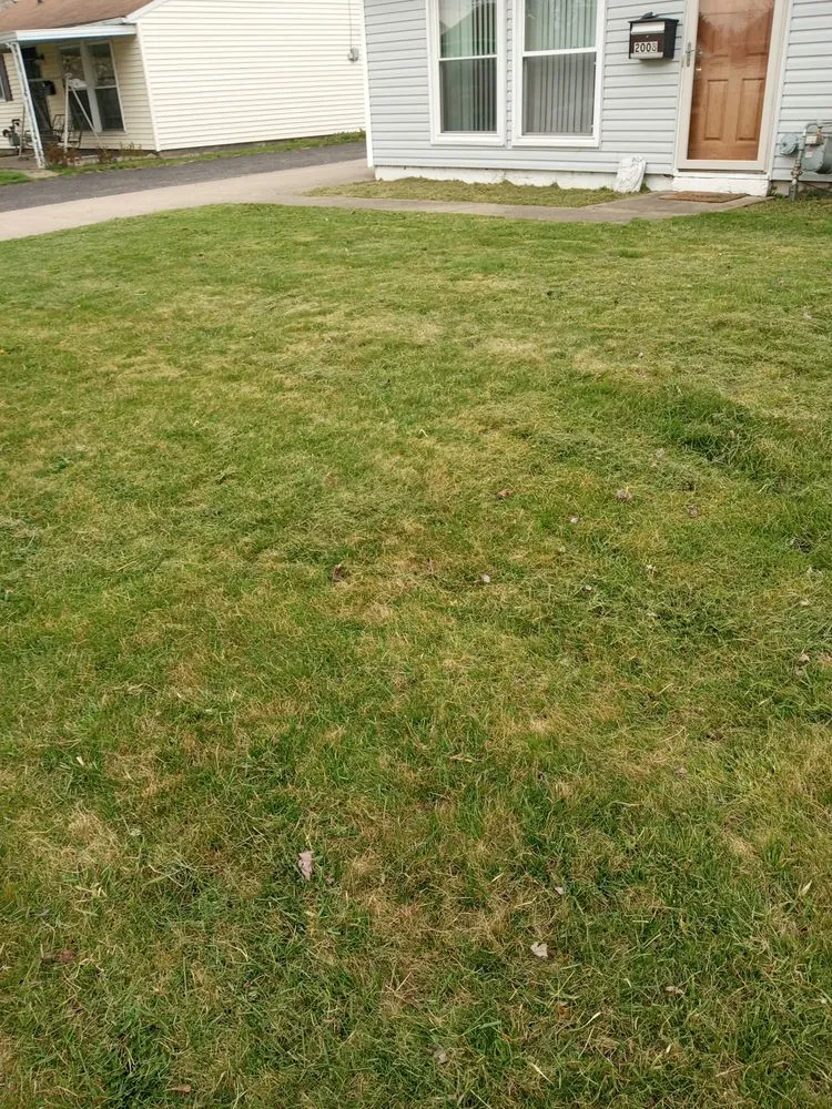 Expert garden landscaping in Canton, OH - Mamasboyz All Around Handyman Services and Lawn Care