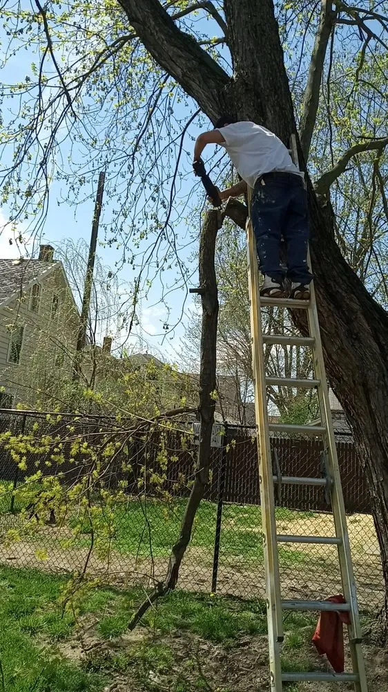 Trusted outdoor landscaping in Canton, OH by Mamasboyz All Around Handyman Services and Lawn Care