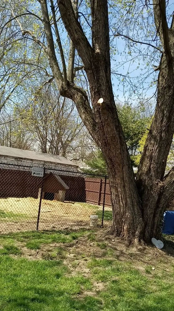 Top-rated landscaping services for residential properties in Canton, OH by Mamasboyz All Around Handyman Services and Lawn Care