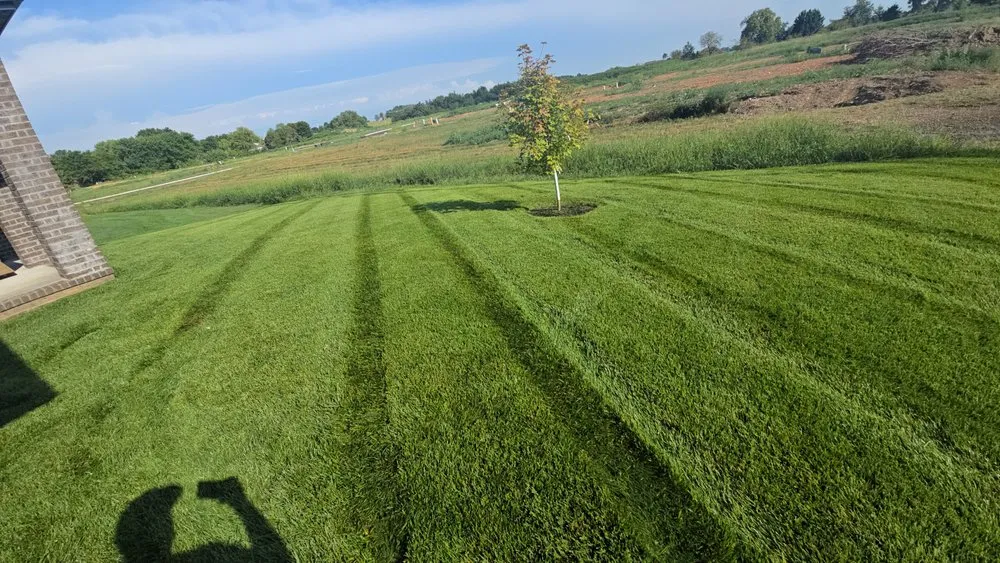 Local lawn care service experts serving Branson, MO - Mamba Lawncare and Landscaping