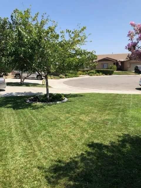 Affordable residential landscaping experts serving Corona, CA - Mamba Mowing & Maintenance