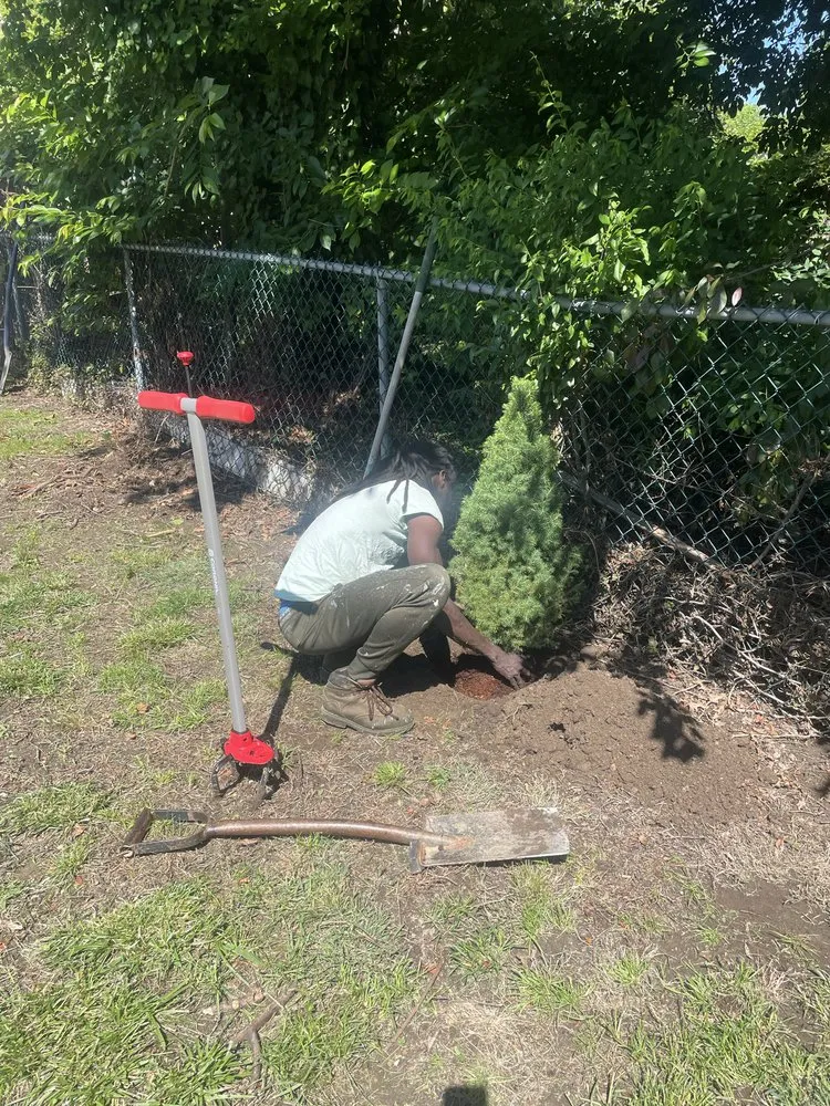 Local lawn care service in Sharon Hill, PA by Mamie’s Landscaping