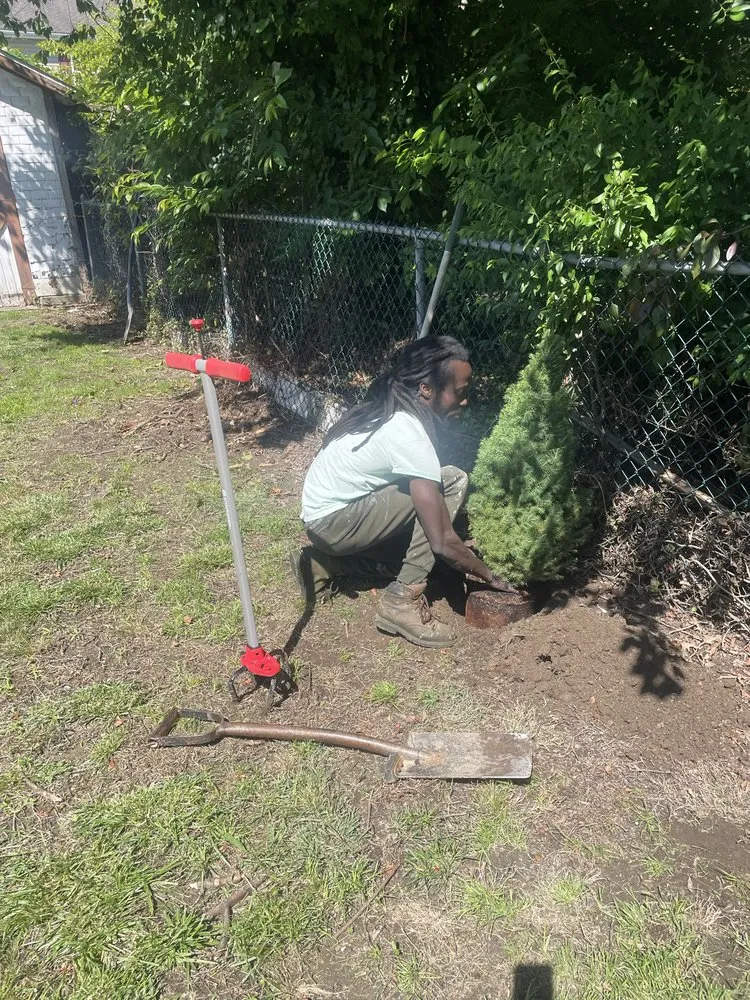 Reliable landscaping services experts serving Sharon Hill, PA - Mamie’s Landscaping