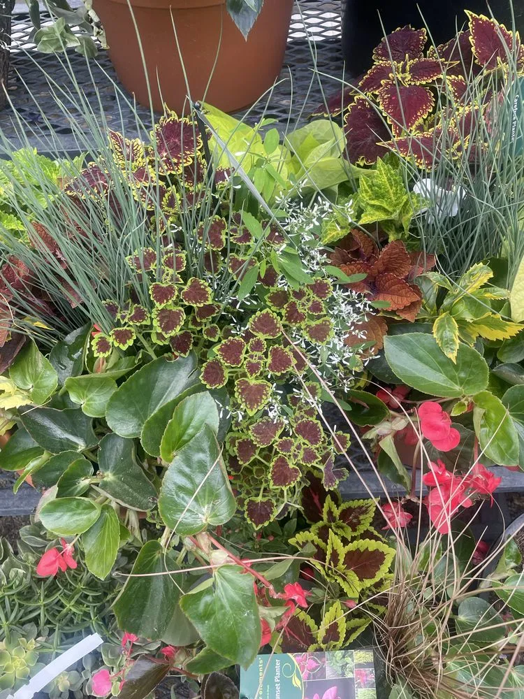 Expert yard cleanup service for outdoor upgrades across Sharon Hill, PA - Mamie’s Landscaping