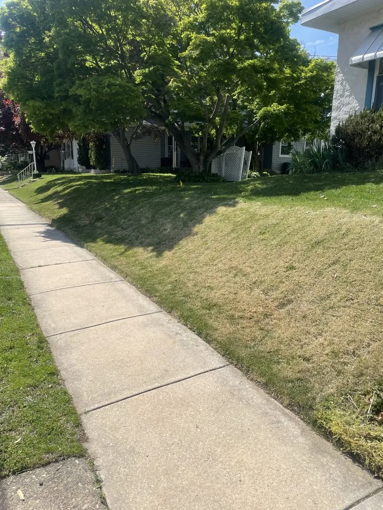 Top-rated residential landscaping with custom design across Sharon Hill, PA - Mamie’s Landscaping