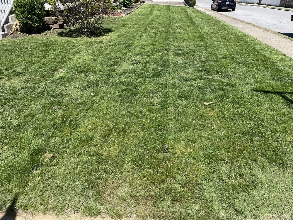 Professional yard cleanup service in Sharon Hill, PA by Mamie’s Landscaping