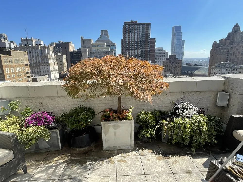 Professional landscape installation for residential properties across Sharon Hill, PA - Mamie’s Landscaping