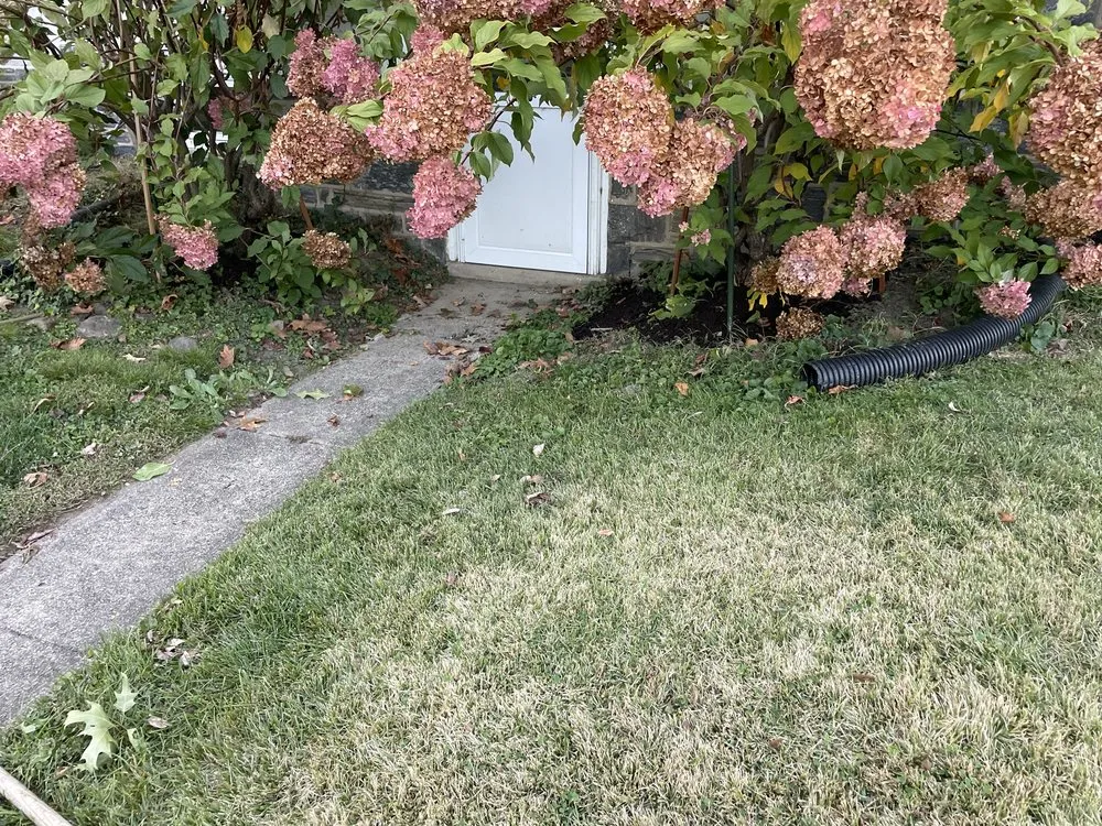 Affordable landscaping services in Sharon Hill, PA - Mamie’s Landscaping