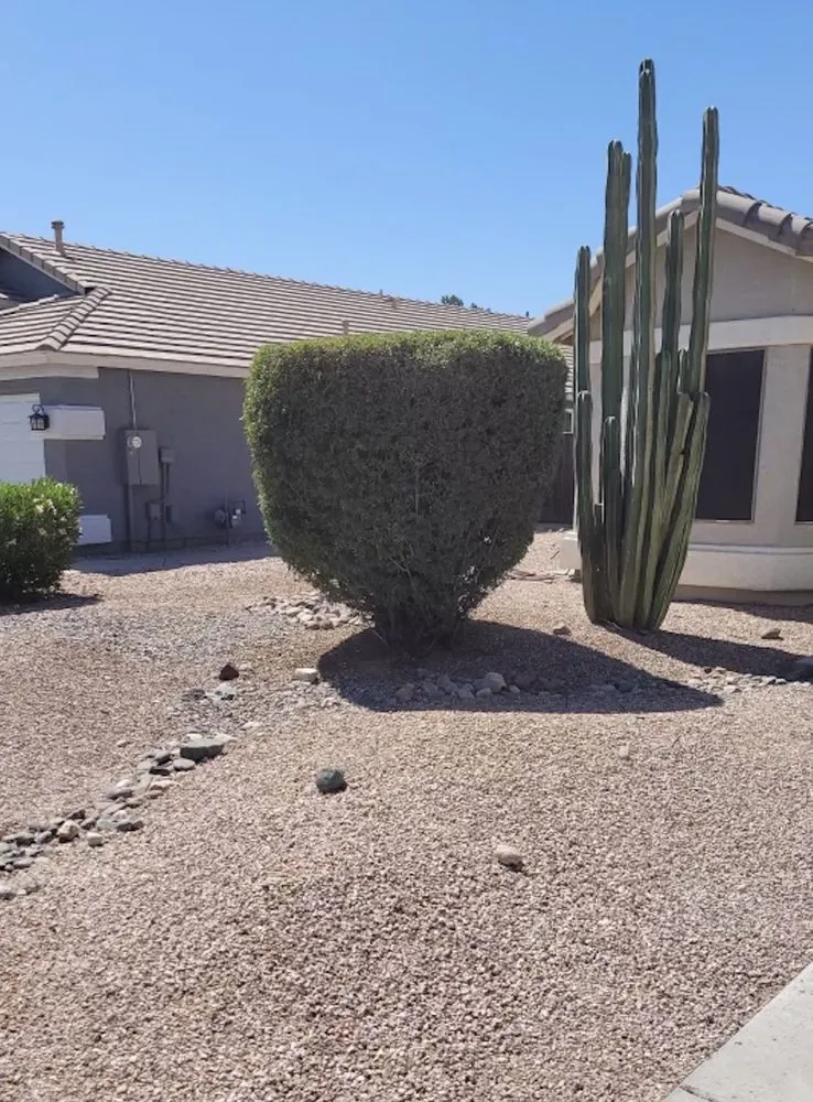 Reliable garden landscaping in Gilbert, AZ - Mami’s Landscaping