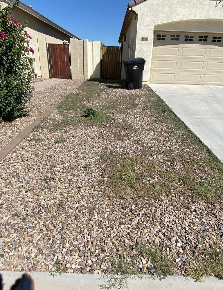 Affordable landscaping services for year-round maintenance in Gilbert, AZ by Mami’s Landscaping