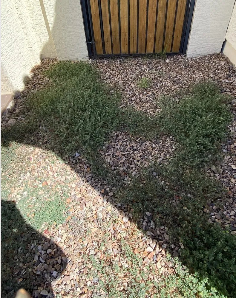 Local lawn mowing service in Gilbert, AZ - Mami’s Landscaping