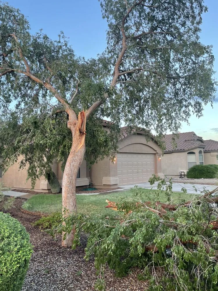 Reliable lawn mowing service experts serving Gilbert, AZ - Mami’s Landscaping