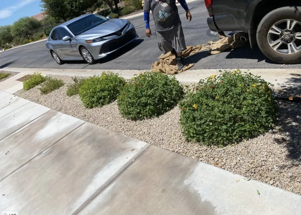 Expert lawn care service for outdoor upgrades across Gilbert, AZ - Mami’s Landscaping