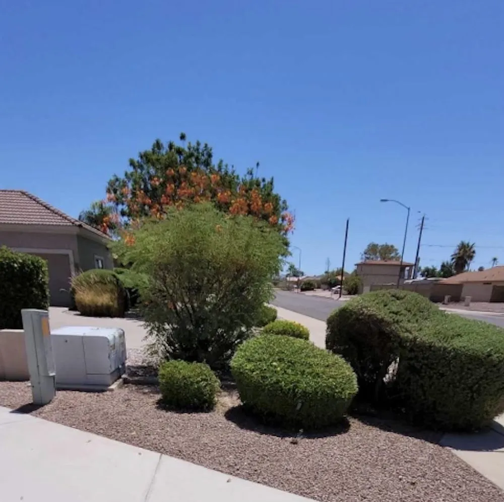 Top-rated landscape installation in Gilbert, AZ - Mami’s Landscaping
