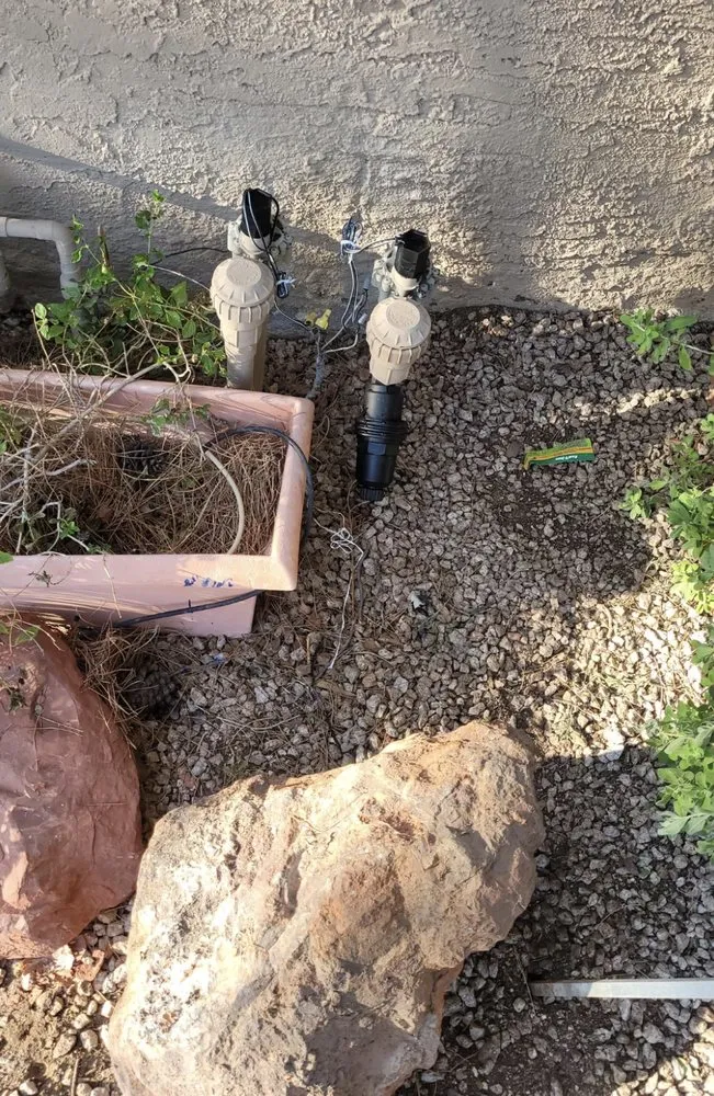 Professional garden landscaping for beautiful yards across Gilbert, AZ - Mami’s Landscaping