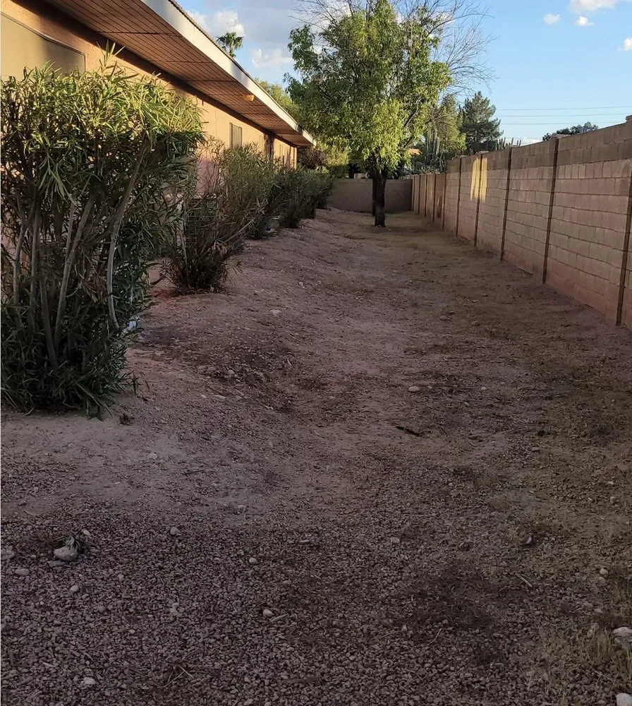 Reliable yard maintenance for homes in Gilbert, AZ by Mami’s Landscaping