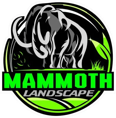 Mammoth Landscape